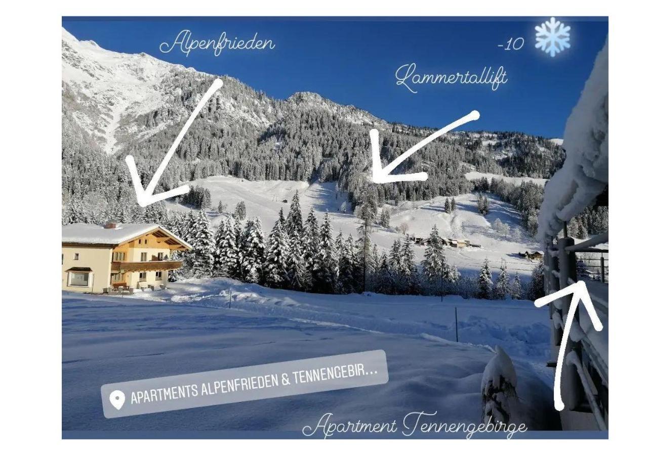 Apartment Tennengebirge ザンクト・マルティン・アム・テンネンゲビルゲ エクステリア 写真